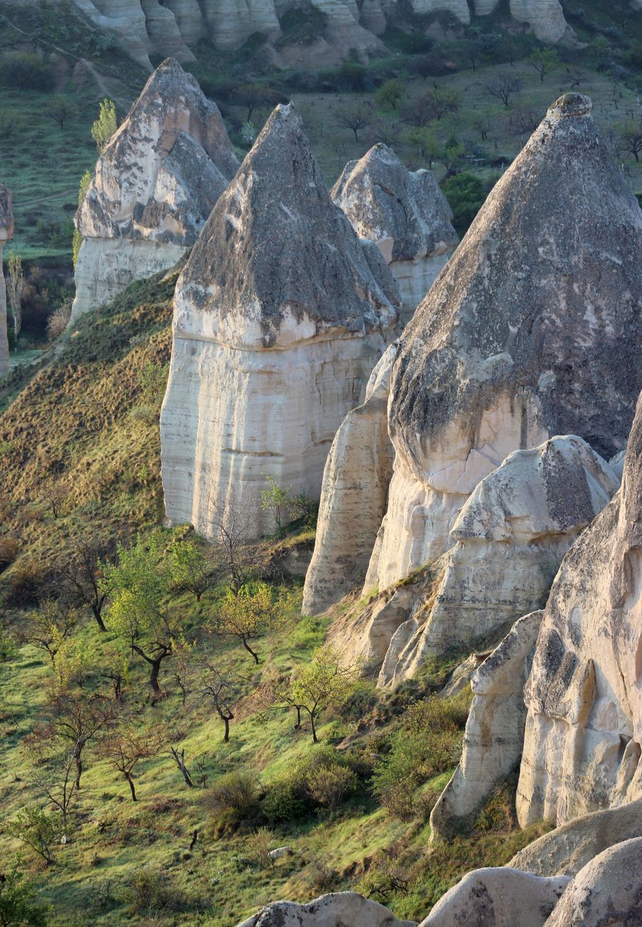 Kapadokya sıcak hava balonları ve peri bacaları panoraması